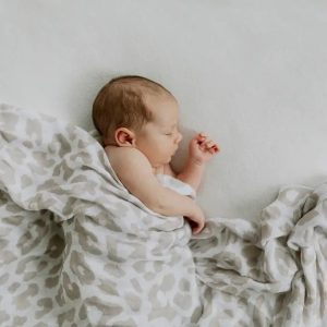 Essential Cotton Blanket